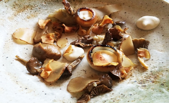 Mushroom Recipe : Artichokes and Chanterelles